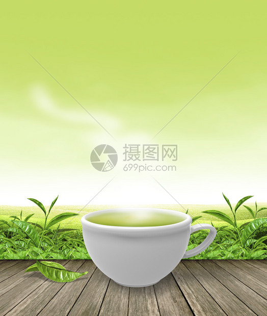 绿茶种植和绿色颜背景的绿茶杯图片