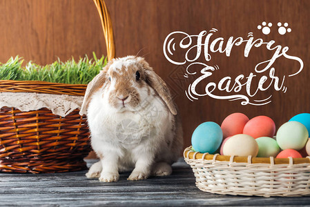 旁边有绿草和多彩鸡蛋的维杰篮子附近的可爱小兔子复活节快乐图片