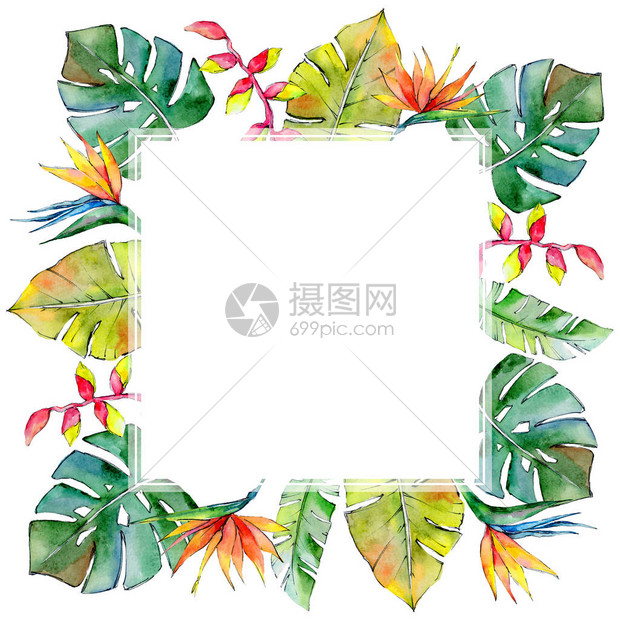 热带夏威夷叶框架以水彩风格背景纹理包装图案框架或边框图片