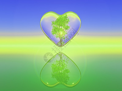 白桦树里面有一颗透明的心图片