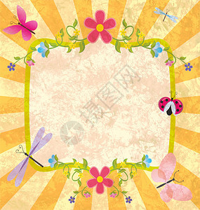Grunge插图框架与蝴蝶和蜻蜓夏花图片