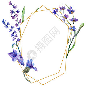 紫色熏衣草花水彩背景插图框架边框装饰品金晶体石的多面图片