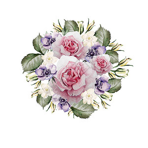 玫瑰和花香的美丽水彩Brida图片