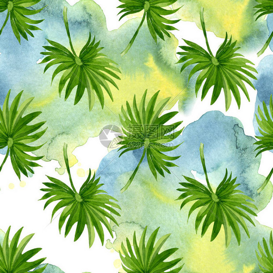 异国情调的夏威夷夏天棕榈滩树叶丛林植物水彩插图集水彩画时尚水彩画无缝背景图案织物图片
