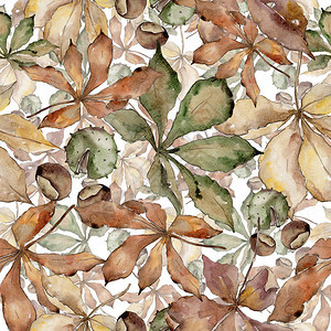 秋天的栗子叶植物园花卉叶子无缝背景图案背景纹理包装图案框架或边图片