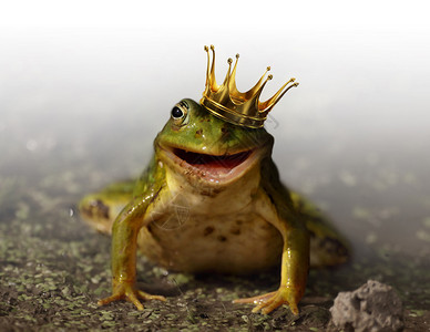 头戴王冠的绿色青蛙图片