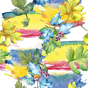 水彩山楂五颜六色的叶子叶植物园花卉叶子无缝背景图案织物壁纸打印纹理背景纹理包装图图片