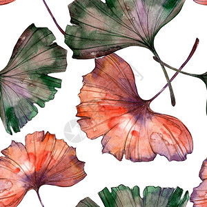 水彩五颜六色的银杏叶植物园花卉叶子无缝背景图案织物壁纸打印纹理背景纹理包装图背景图片