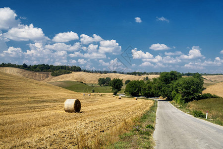 意大利托斯卡纳州Chianti地区典型的农村地貌图片
