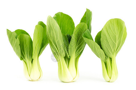 Bokchoy卷心菜图片