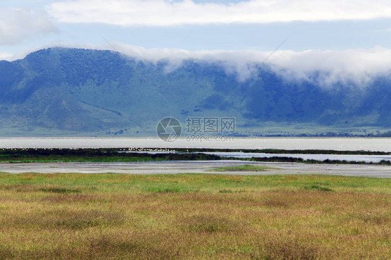 坦桑尼亚马加迪湖背景恩戈罗恩戈罗火山口保护区的盛开山谷图片