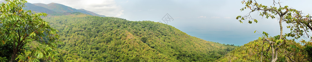 坦噶尼喀湖为背景的坦桑尼亚贡贝保护区Gombe背景