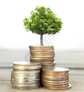 硬币和大绿色植物生长省钱经济投资和储蓄概念抽象背景的选择焦点图片