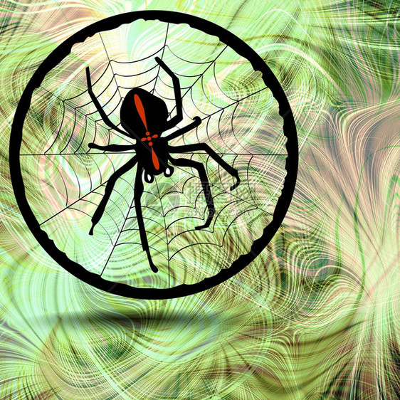 十字军蜘蛛在他的蜘蛛网中在折形背图片