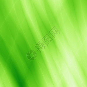 叶生态抽象绿色背景图片