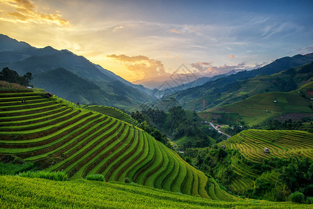 越南YenBai的MuCangChai雨季露天田地上的水稻田图片