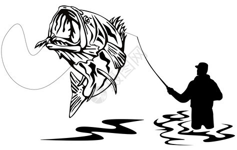 捕捉大嘴鲈鱼跳跃的苍蝇渔夫的插图图片