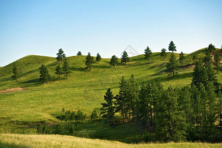 南达科他州黑山景观山丘和树木自然照片集美背景图片
