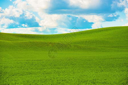风景秀丽的夏日风景夏季绿色田野风光图片