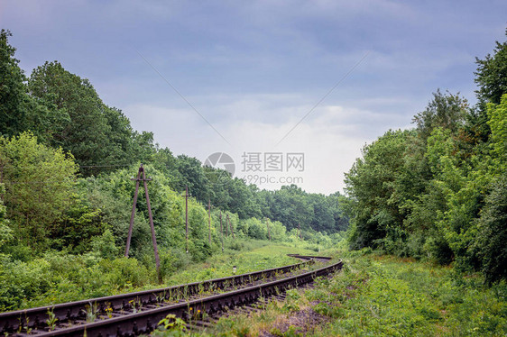 穿越森林的铁路旅行和商务旅行通图片