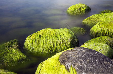 海边石头和苔藓的长曝光图片图片