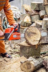 伐木工人用链锯在森林中切割木柴图片