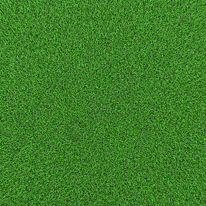 绿色草背景质地高分图片