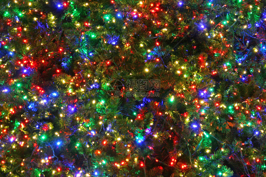 一棵圣诞树的特写上面有彩色灯图片