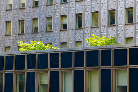 现代绿色建筑设攀登绿色采爬植物生态友图片