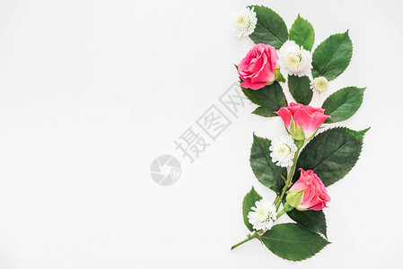 在白色上隔离的花朵组合的顶部视图背景图片