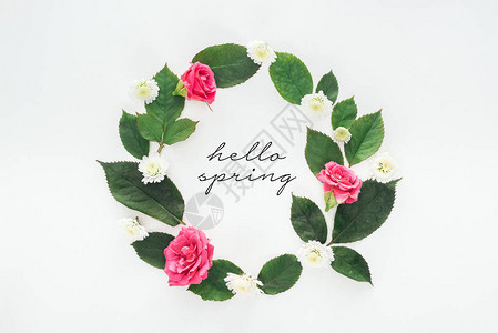 白色背景的绿色叶子玫瑰和菊花以及春图示的圆形构成图示HelloBri图片