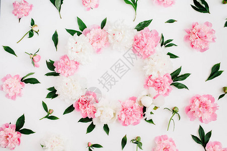 粉红色牡丹花树枝叶子和花瓣的框架图片