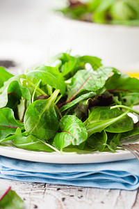 有菠菜阿鲁古拉罗马素和生菜的新鲜绿色沙拉图片
