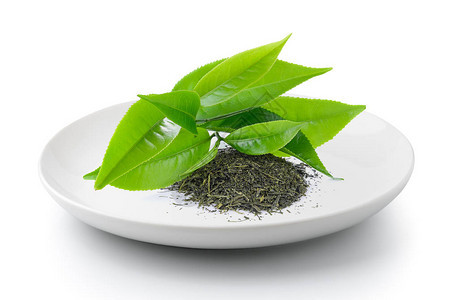 绿色茶叶在白色背景上被孤立的盘图片