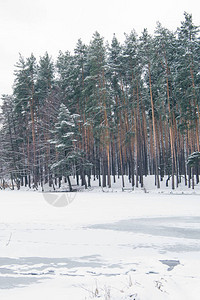 冰冻的湖泊和雪地图片