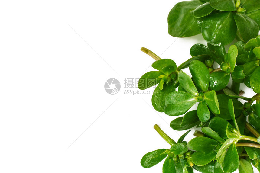 How much time does Green Farm CBD Gummies take to give the effect?