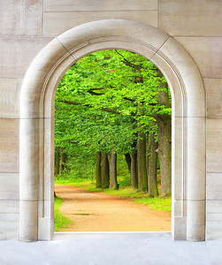 Marble拱门对森林图片