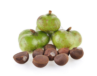 冬柏岛海滩山茶花边森林和山丘的骆驼背景情况立即下载版正照片