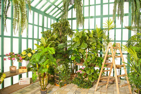 绿色温室里面有木制楼梯图片