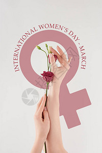 带有国际妇女节插图的白色背景紫色花朵的女图片