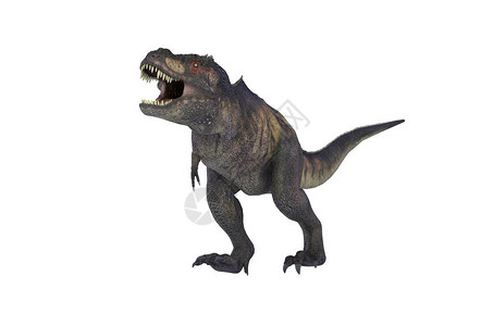 白色背景上恐龙霸王龙的3D插图图片