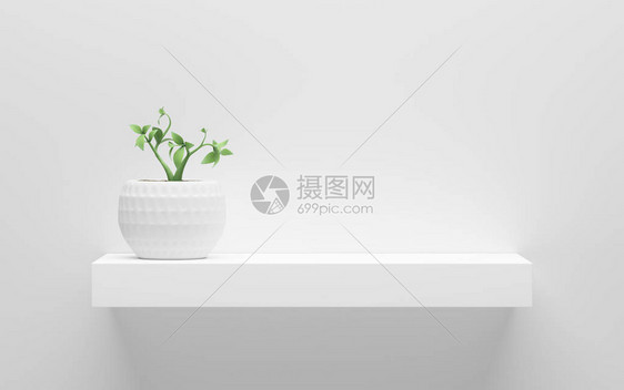 白架色墙上加绿色锅装植物图片