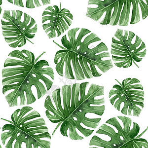 手绘水彩无缝图案的热带树叶图片