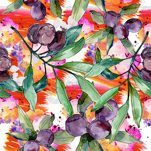 绿叶树枝上的黑橄榄植物园花卉叶子水彩背景插图无缝背景图案织物图片