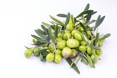 白色背景上的绿色新鲜橄榄背景图片