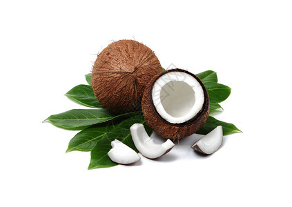白色背景上的椰子背景图片