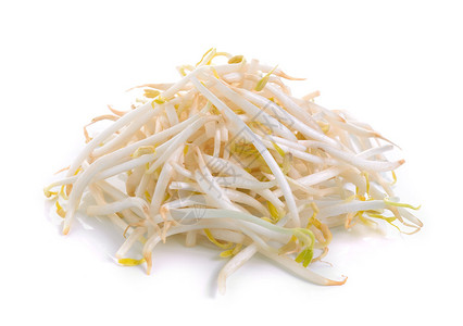 白色背景上的豆芽背景图片