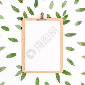 剪贴板在白色背景上隔离绿色花瓣平图片