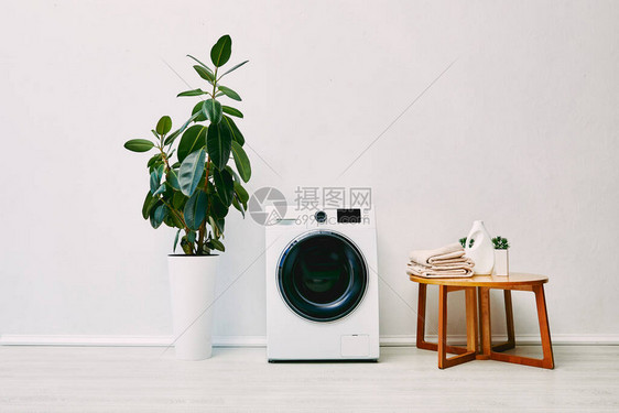 现代洗衣机附近的绿色植物浴室里有毛巾和洗涤图片