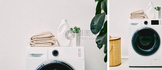 在洗衣篮和浴室绿植物附近的洗衣机洗涤器上用清洁剂瓶图片